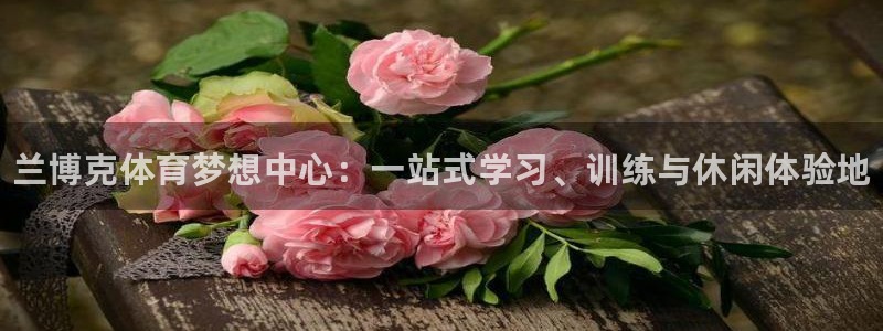 JJB竞技宝官网下载平台是正规平台吗安全吗：兰博克体