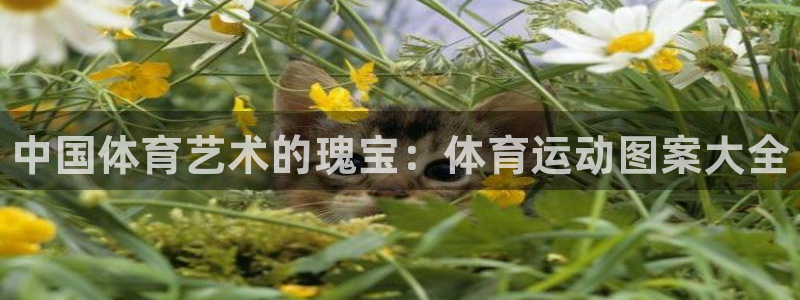 JJB竞技宝官网下载招商电话：中国体育艺术的瑰宝：体