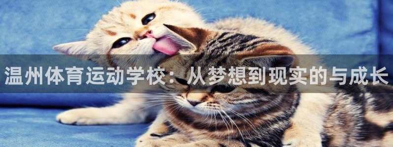 JJB竞技宝官网下载招商电话地址是多少：温州体育运动