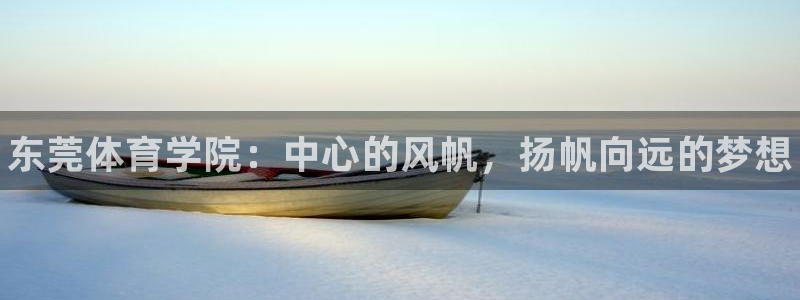 JJB竞技宝官方正版app代理：东莞体育学院：中心的