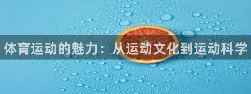JJB竞技宝官方平台体育：体育运动的魅力：从运动文化