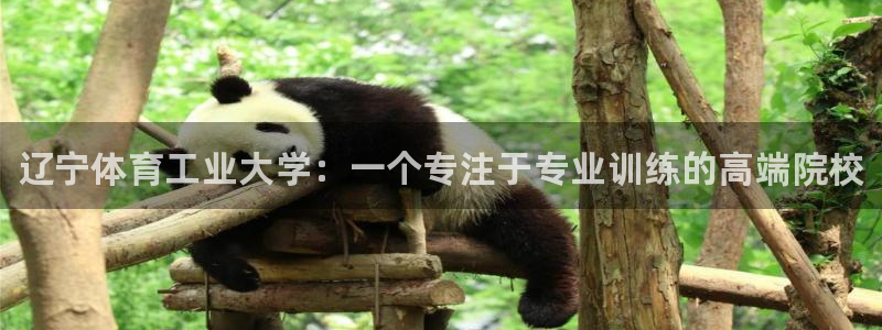 JJB竞技宝官方正版app集团官网网址