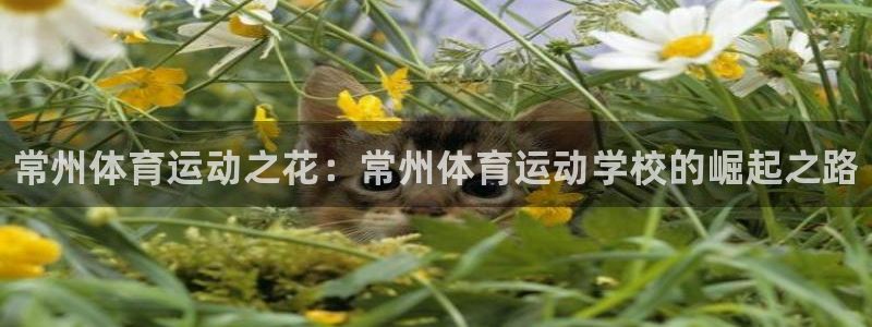 JJB竞技宝官方正版app娱乐网站：常州体育运动之花