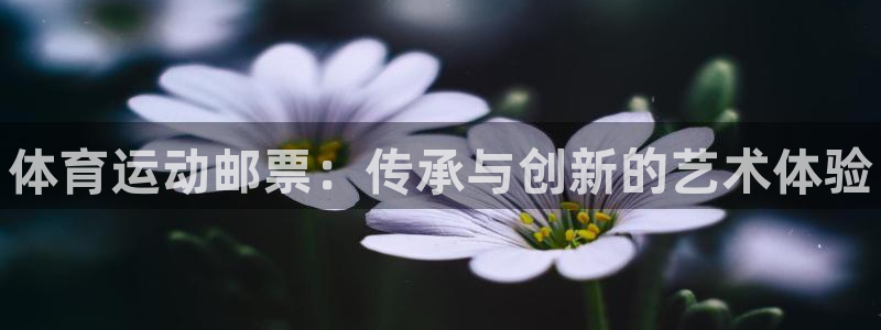 JJB竞技宝官网下载软件：体育运动邮票：传承与创新的艺术体验