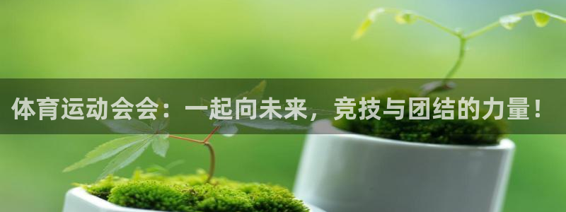 JJB竞技宝官网下载招商电话号码是多少啊：体育运动会会：一起