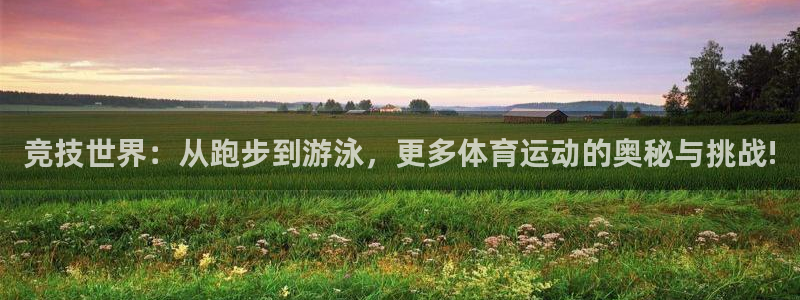 JJB竞技宝官方正版app娱乐40996：竞技世界：从跑步到