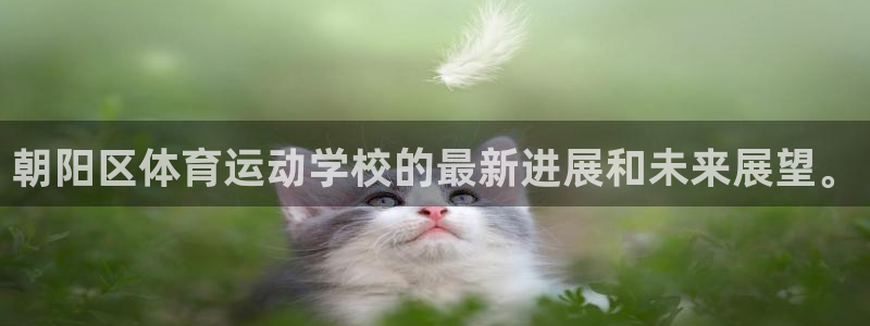 JJB竞技宝官网下载官方客服电话