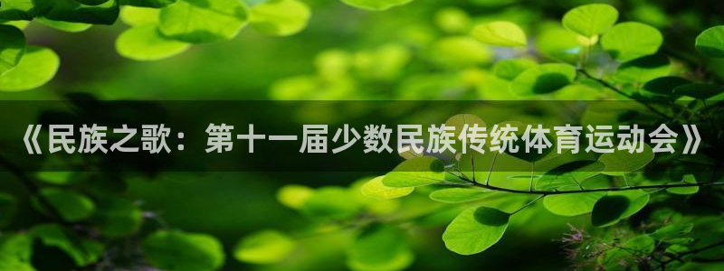 JJB竞技宝官网下载软件