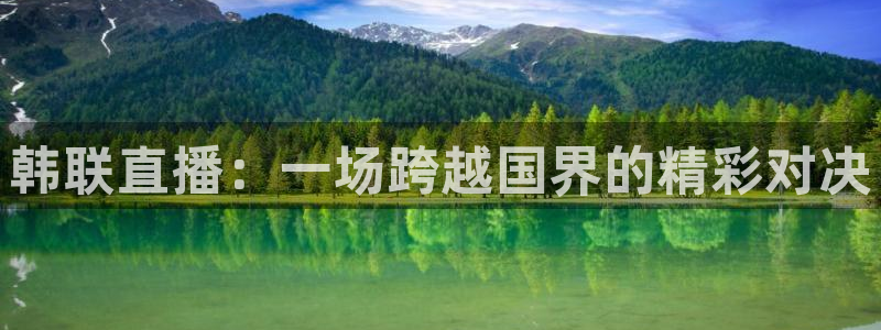 河豚体育app下载：韩联直播：一场跨越国界的精彩对决