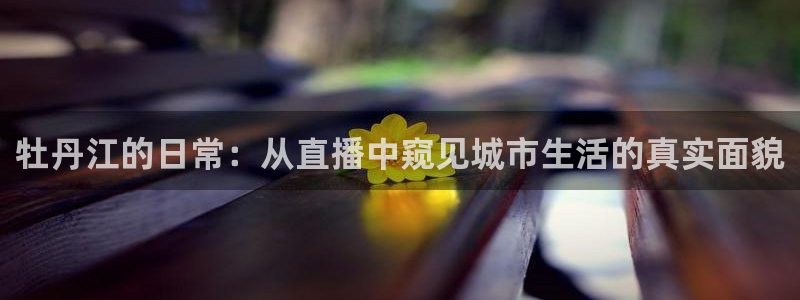 河豚面：牡丹江的日常：从直播中窥见城市生活的真实面貌